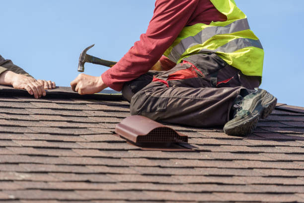 Best Sealant for Roof  in Chisholm, ME