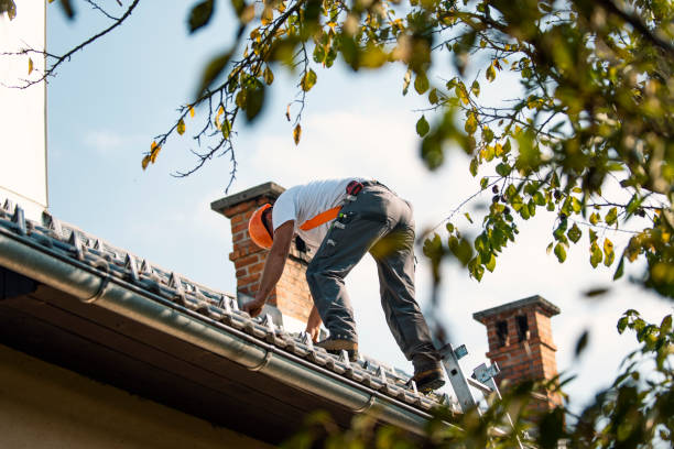 Best Local Roofing Companies  in Chisholm, ME