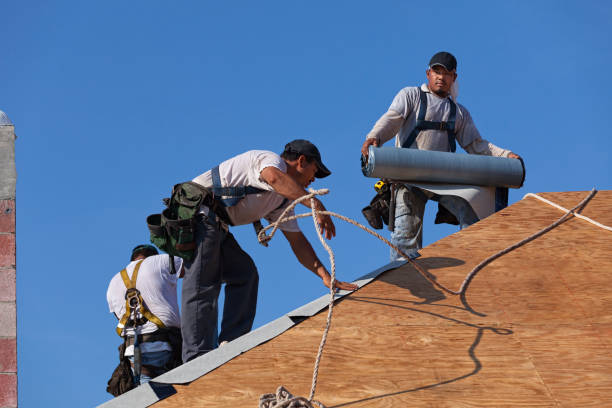 Best New Roof Installation  in Chisholm, ME