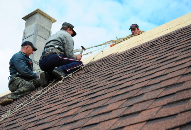 Best Local Roofing Companies  in Chisholm, ME